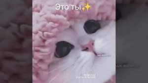 тебе