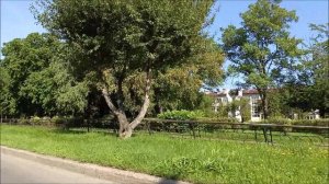 г.Железногорск. 19.08.25г. Что дано нам жизнью дорожите.Автор видео Елена Цыганова. г.Ачинск.