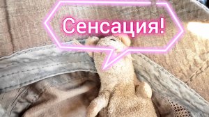 Новое сенсационное открытие Худыши