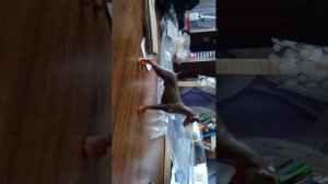 мега распаковка! / часть 1! / скоро будет 2!