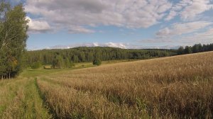 Деревня Соснино (за грибами на велосипеде)