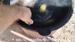 Шампиньоны в сметане