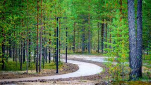 Новую экотропу в шаговой доступности построили в Когалыме