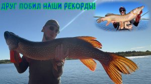 Монстры карьеров! Друг побил наши рекорды! #щука #окунь #спиннинг #рыбалка #трофеи