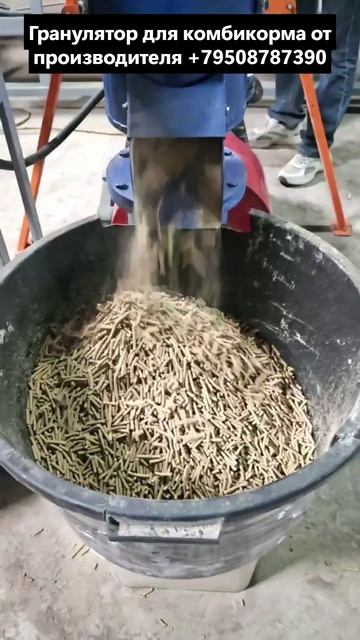 Как гранулировать сою? На грануляторе Соловей-4 от производителя. смотреть онлайн