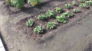 Работы на участке в конце августа