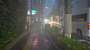 Чудесная Ночная/Дождливая прогулка по улицам Токио)=