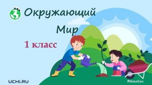 Семья. Окружающий мир - 1 класс / Учи.ру. Учимся играя.