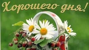 Чудесного дня. Музыкальная открытка пожелание.