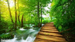 Расслабляющая музыка для снятия стресса тревоги и депрессии.