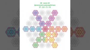 День 48. Лилия Борей. Абсолютная истина Цветка Жизни. #силасознания