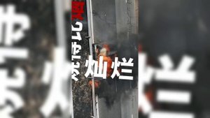 深海妖怪﹣《绿化带战神》原唱完整版