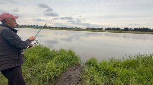 Поимки осетра !!!