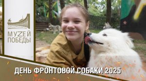 «ДЕНЬ ФРОНТОВОЙ СОБАКИ» В МУЗЕЕ ПОБЕДЫ 2025