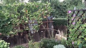 Иду на поправку . Смех продлевается жизнь  спасибо Наталье Губаревой за рецепт (16.08.25)