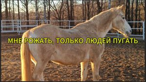 Мне рожать, только людей пугать