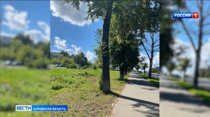 В Кирове местный житель обвиняется в покушении на убийство знакомого