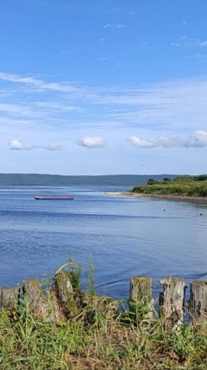Халява на Сахалине, озеро Буссе, август 2025 г.