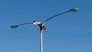 COUB compilation _ нарезка COUB -192