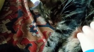 с маинкрафт 8