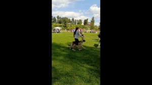 Сравнение на ЛПП