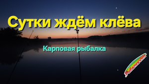 Рыбалка на карпа с ночёвкой