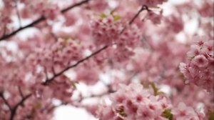 ✨Ларец Небесный и Земной✨