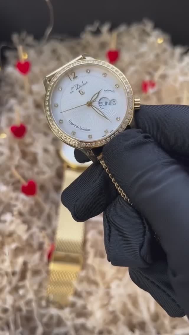 Coquille D 713.26.33 M смотреть онлайн