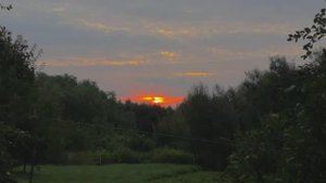 Раннее утро.Гуляю по Гусеву.Готовим.