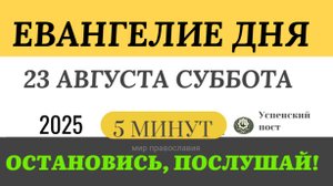 23 августа суббота Евангелие дня 2025 с толкованием #евангелие (5 минут)
