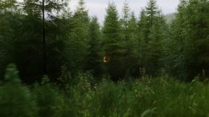 Кинематографические переходы и морфинг в Minimax