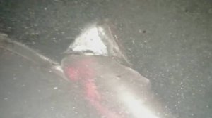 Corriere della Sera назвала имя задержанного по подозрению в подрыве "Севпотоков"