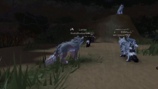 2 часть реакция на Беличью Звезду! Ненавижу ее..