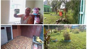 22-08-2025. Жизнь в деревне: Дела житейские. Family Vlogs