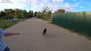 Вечерняя прогулка с Ритой. Новые знакомства. 18.08.2025.