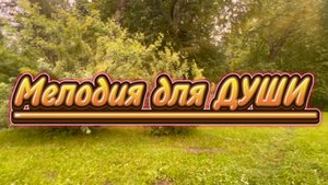 18 октября всемирный день гитары. Мелодия для души, великолепная гитара, ПАВЛОВСК