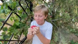 Леня самопробы Алексеев Илья 11