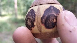 Шкатулка в августовском лесу с грибами