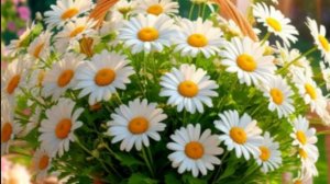 Доброе утро от души - Музыкальные открытки