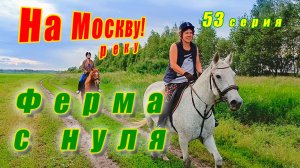 Поход на Москву-реку. Работают юные художники оформители. Идут тренировки. Ферма с нуля серия 53