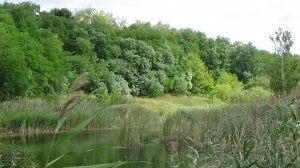 земля в корочанском районе села и хутора корочанского района белгородской области