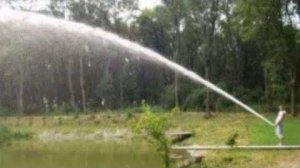 COUB compilation _ нарезка COUB -193