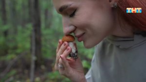 Какие гаджеты можно использовать для сбора грибов?