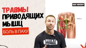 Боль в паху. Травмы приводящих мышц