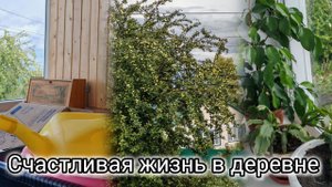 Уютный и тихий деревенский влог, счастливая жизнь в деревне, сильный ливень и град, пирог с яблоками