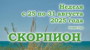 СКОРПИОН | ТАРО прогноз на неделю с 25 по 31 августа 2025 года