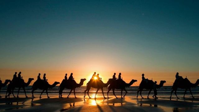 Караван смотреть онлайн