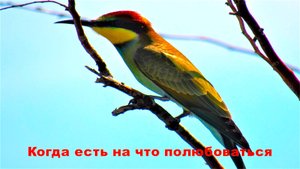 Когда есть на что полюбоваться