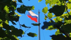 С Днем Государственного флага Российской Федерации!