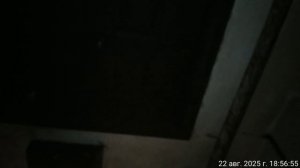 22.08.2025 музыка КВ 4. Результат деятельности  полиции. Оренбург.